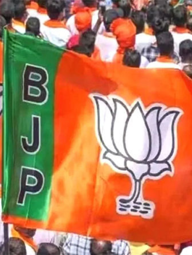 Lok Sabha Elections 2024: NRIs to hold car rally in support of BJP in Gujarat on April 28